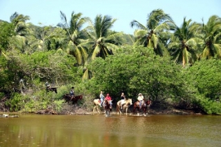 Recorridos de ruta a caballo